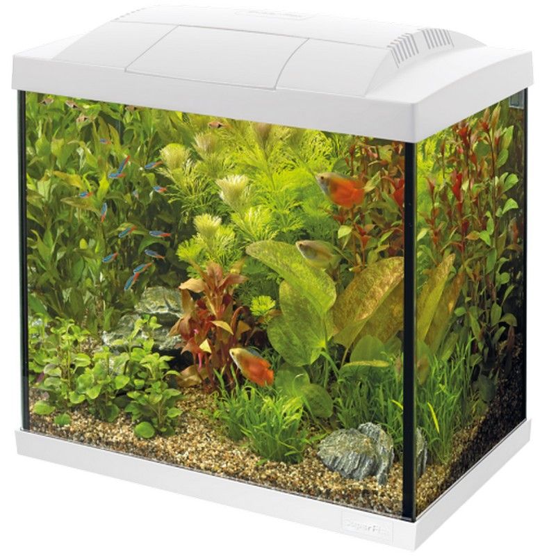 Superfish Start 30 Tropical Kit White